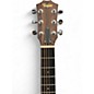 Used Taylor GS Mini Mahogany Mahogany Acoustic Guitar