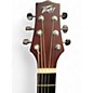 Used Peavey DW-1 Natural Acoustic Guitar