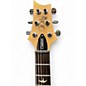Used PRS SE Custom 24 green Solid Body Electric Guitar