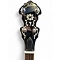 Used Johnson 5 String Banjo Natural Banjo
