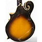 Used Washburn M3SW/TS 2 Tone Sunburst Mandolin