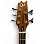 Used ESP ltd tl 5 Natural Acoustic Bass Guitar