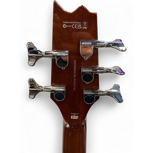 Used ESP ltd tl 5 Natural Acoustic Bass Guitar