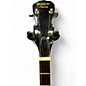 Used Marquis H-409 Double Eagle Brown Banjo