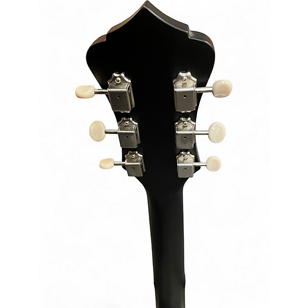 Used Recording King RPH-R2-E Dirty 30s Minnie Bucker Resonator Anaconda Burst Acoustic Electric Guitar