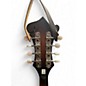 Used Washburn M3EK MANDOLIN 2 Tone Sunburst Mandolin