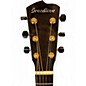 Used Breedlove custom concerto 2 Color Sunburst Acoustic Electric Guitar