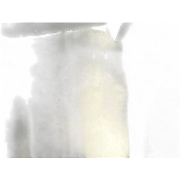 Vintage 1957 Rickenbacker M-11 Tube Guitar Combo Amp