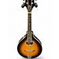 Used Gold Tone GM-50 BURST Mandolin thumbnail
