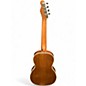 Used Fender Rincon Brown Ukulele