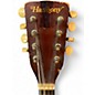 Used Harmony H-331 Natural Mandolin