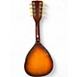 Used Harmony H-331 Natural Mandolin