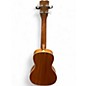 Used Cordoba 15CM Concert Walnut Ukulele