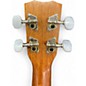Used Cordoba 15CM Concert Walnut Ukulele