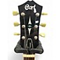 Used Cort SOURCE Heritage Cherry Hollow Body Electric Guitar