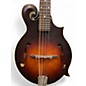 Used The Loar LM310 vintage brown Mandolin