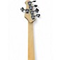 Used Sterling by Music Man Ray5 5 String Walnut Electric Bass Guitar