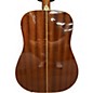 Used Washburn d-100m Mahogany Acoustic Guitar