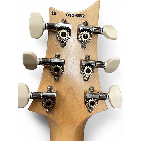 Used 2025 PRS NF53 BLACK DOGHAIR Solid Body Electric Guitar