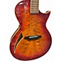 Used ESP LTD TL6 FIREFLY TIGER Acoustic Electric Guitar