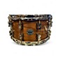 Used PDP by DW 7X14 Limited Edition Maple Walnut Walnut Drum thumbnail