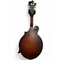 Used The Loar LM310F Bourbon Burst Mandolin