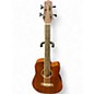 Used Gold Tone M bass FL Mahogany Acoustic Bass Guitar thumbnail