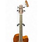 Used Gold Tone M bass FL Mahogany Acoustic Bass Guitar