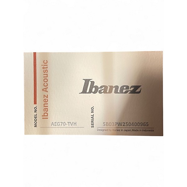 Used Ibanez AEG70 PURPLE Acoustic Electric Guitar