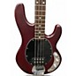Used Sterling by Music Man Stingray Walnut Electric Bass Guitar