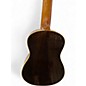 Used Mitchell MU70 Concert Natural Ukulele