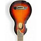 Used Washburn Ro10 Rover Tobacco Burst Acoustic Guitar