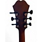 Used Epiphone Dot Studio Worn Brown Hollow Body Electric Guitar