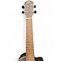 Used Ortega EARTH SERIES UKULELE Trans Charcoal Ukulele