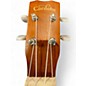 Used Cordoba 15CM Concert Mahogany Ukulele