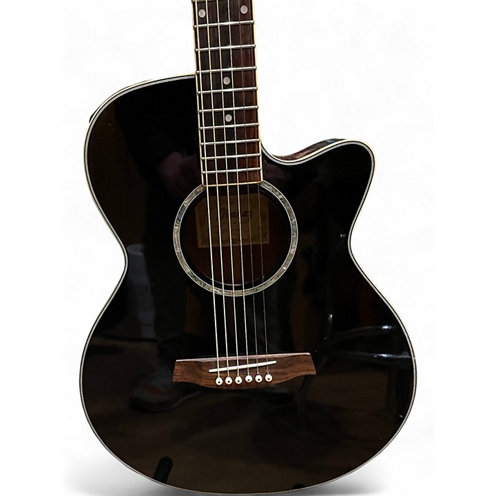 IBANEZ AEG10 (AEG10E, AEG10II) acoustic guitars for sale in USA