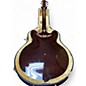 Used Epiphone JIM JAMES Walnut Hollow Body Electric Guitar