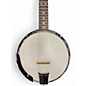 Used Gold Tone CCBT Natural Banjo