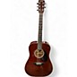 Used Carlos MODEL 249 Mahogany Acoustic Guitar