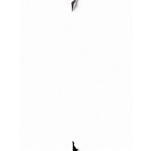 Used Bose L1 Model II Powered Speaker