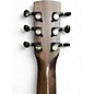 Used Beard Guitars TRAILHEAD E Trans Charcoal Resonator Guitar