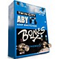 Used Radial Engineering Bones Twin City ABY Bypass Pedal