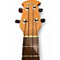 Used Applause Concert Ukulele Plum Burst Ukulele