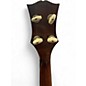 Vintage 1962 Gibson TB-100 TENOR BANJO 2 Tone Sunburst Banjo