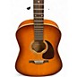 Used Seagull Entourage Rustic Rustic Burst Acoustic Guitar
