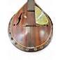 Used 1950s Harmony LEO MASTER Mahogany Mandolin