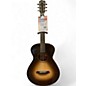Used Breedlove Rainforest S Concert PA CE Papillion Acoustic Electric Guitar thumbnail
