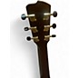 Used Breedlove Rainforest S Concert PA CE Papillion Acoustic Electric Guitar
