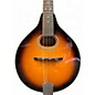 Used Savannah SA-110 Tobacco Sunburst Mandolin