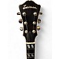 Used Eastman T59/V Classic Vintage Hollow Body Electric Guitar
